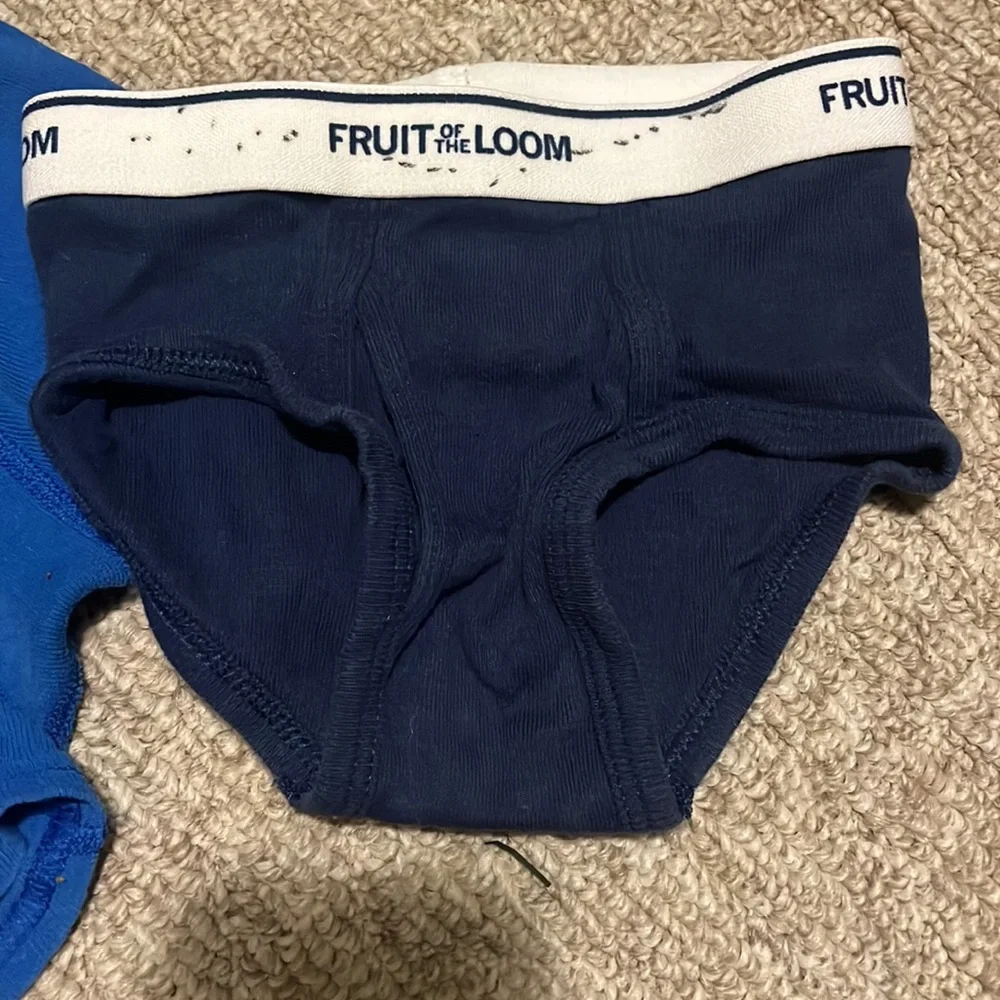 Boys Toddler 2T/3T Underwear Fruit of the Loom Navy & White, Royal Blue Hanes